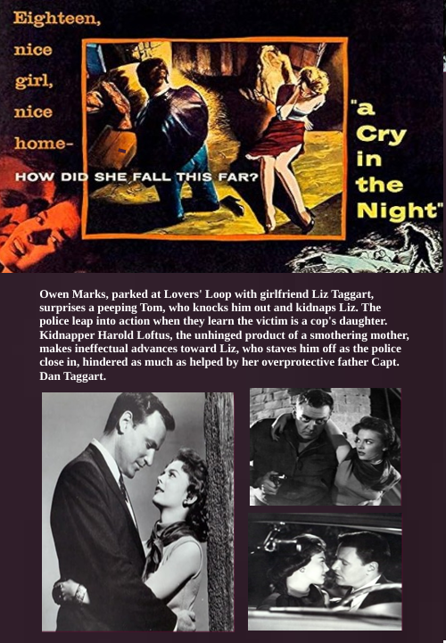 Screenshot from the crime movie "A Cry in the Night" DVD featuring Edmond O'Brien and Brian Donlevy, released by FilmClassics onDVD
