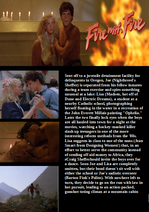 Fire with Fire DVD featuring Craig Sheffer and Virginia Madsen, drama movie from Rare and Collectible DVDs.