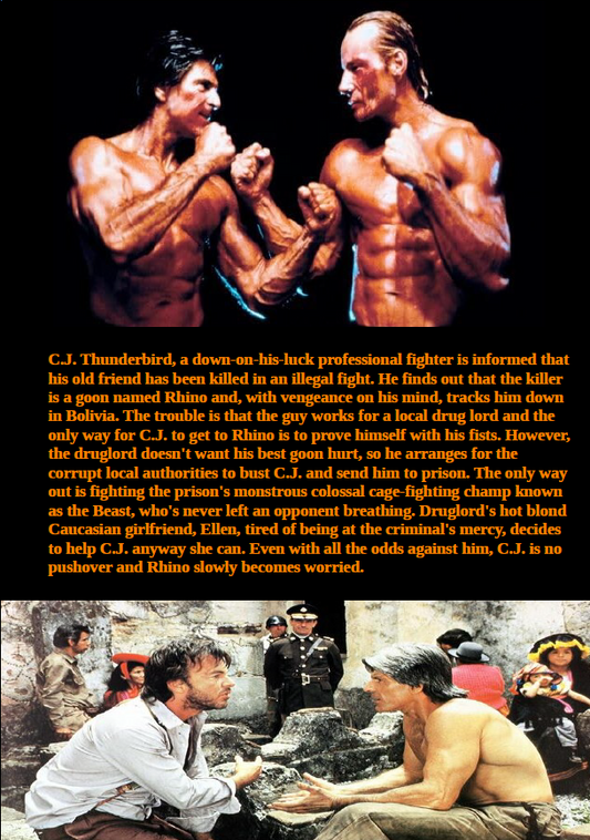Fist Fighter DVD featuring martial arts action with Jorge Rivero and Edward Albert, from rareandcollectibledvds.