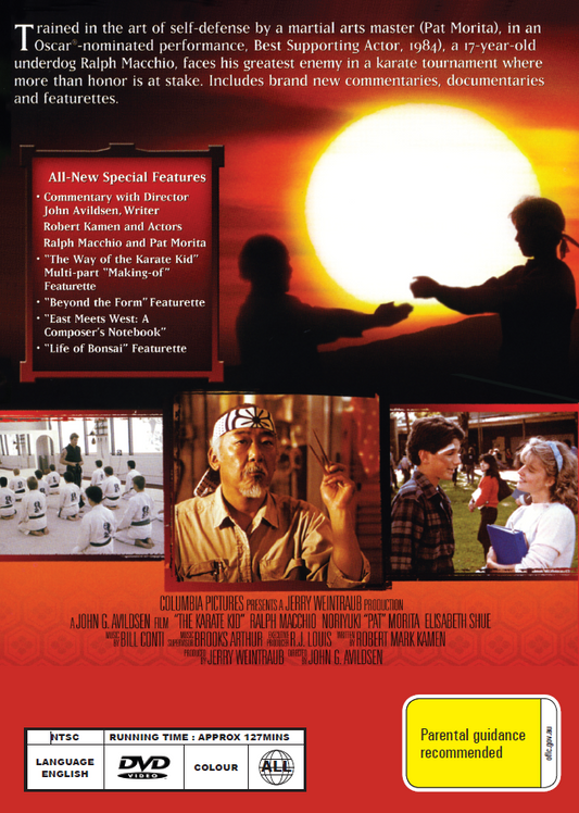 The Karate Kid DVD featuring Ralph Macchio and Pat Morita, showcasing martial arts action from the classic movie.