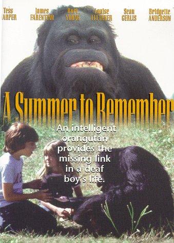 DVD cover of "A Summer to Remember" drama featuring James Farentino and Louise Fletcher, with artwork and title visible.