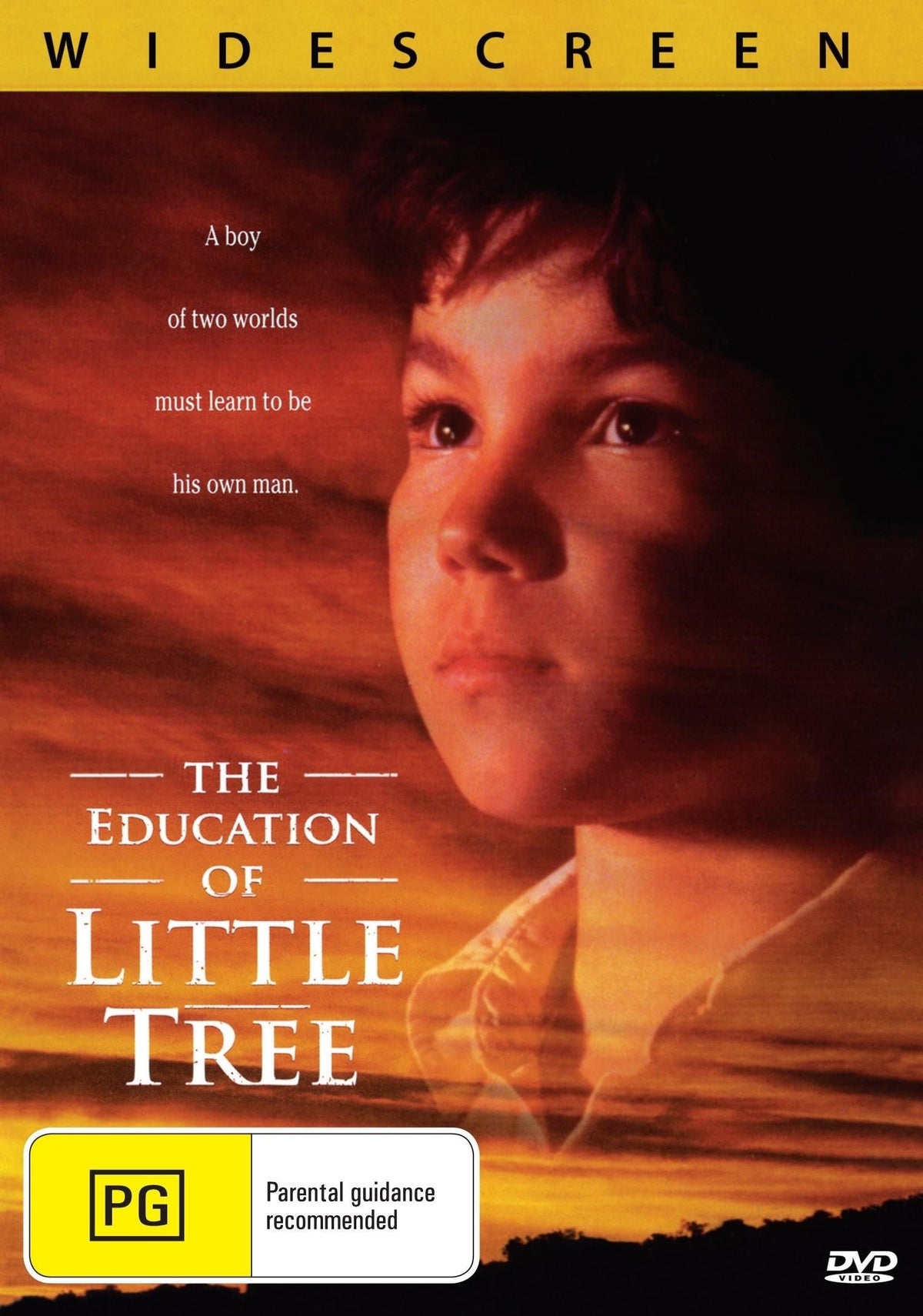 DVD cover for "The Education of Little Tree" drama featuring James Cromwell and Joseph Ashton, from RareandCollectibleDVDs.