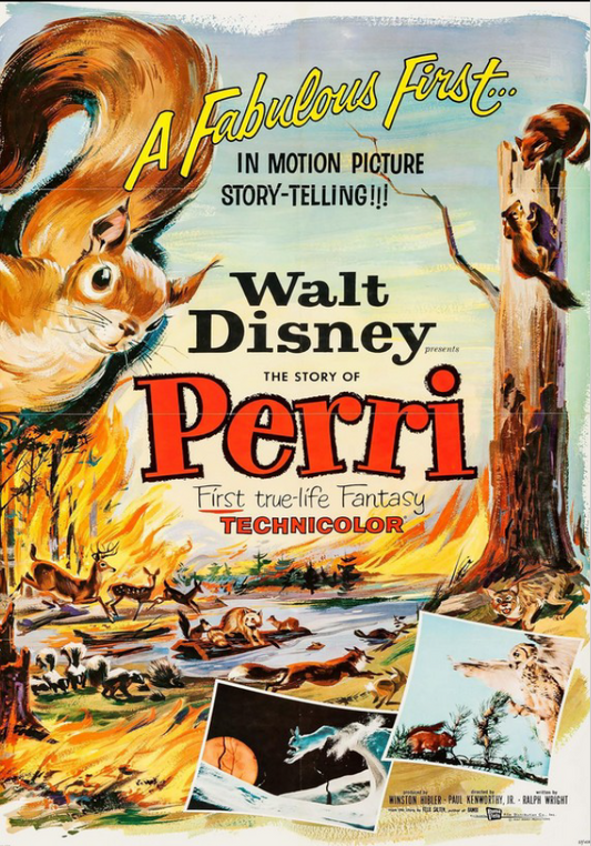 Perri on DVD. True Life Adventure, Nature Documentary