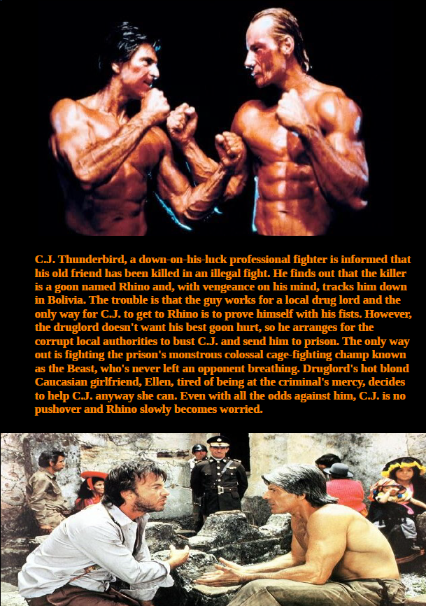 Fist Fighter DVD featuring martial arts action with Jorge Rivero and Edward Albert, from rareandcollectibledvds.