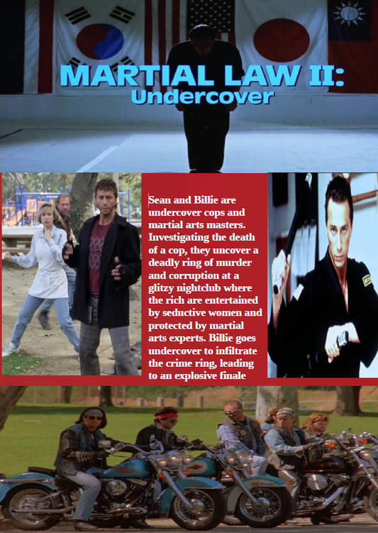 Karate Cop Martial Law 2 DVD featuring Cynthia Rothrock and Jeff Wincott, action movie from the rareandcollectibledvds collection.