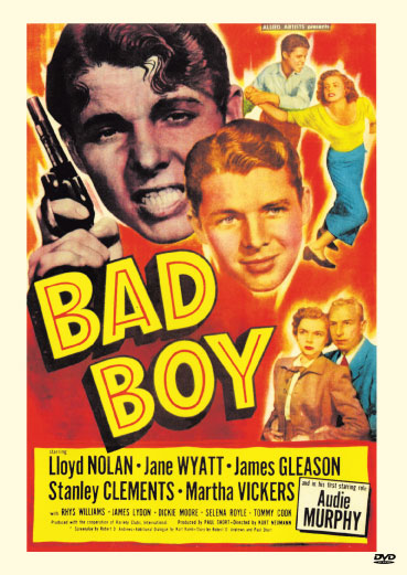 Bad Boy rareandcollectibledvds