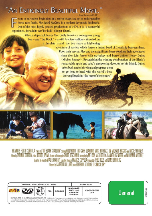 DVD cover of The Black Stallion featuring Kelly Reno and Mickey Rooney, from Rare and Collectible DVDs, in a family movie genre.