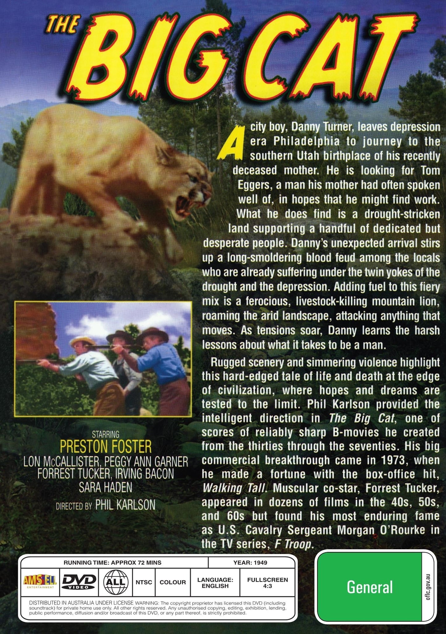 DVD of The Big Cat action movie featuring Lon McCallister and Peggy Ann Garner, from Rare and Collectible DVDs.
