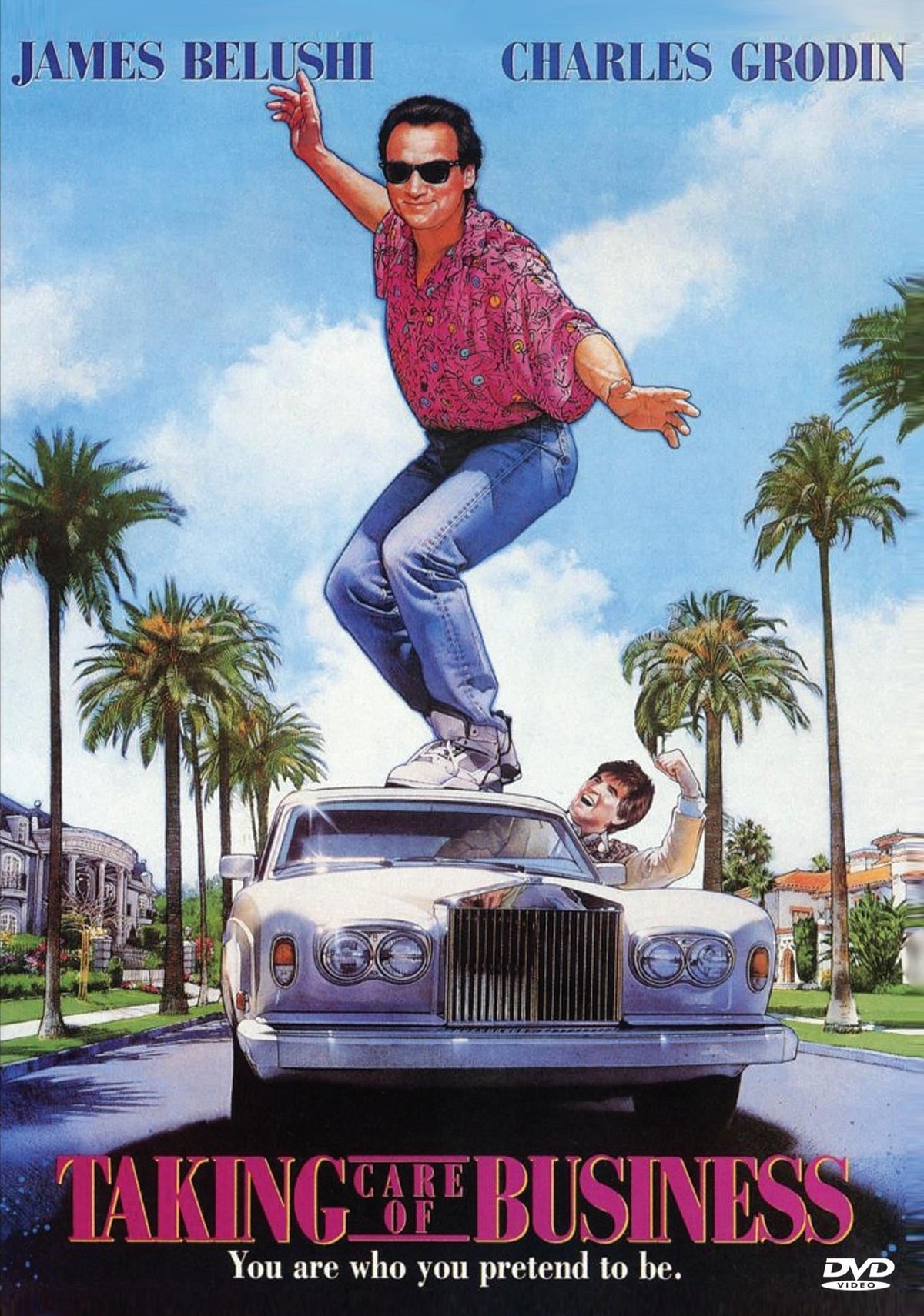 Taking Care of Business DVD featuring Jim Belushi and Charles Grodin, comedy movie with a colorful cover image.