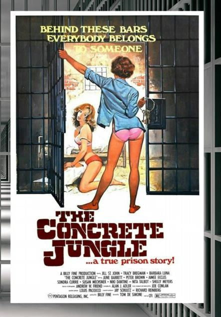 Concrete Jungle DVD featuring crime drama with Jill St. John and Tracey E. Bregman, from rareandcollectibledvds.