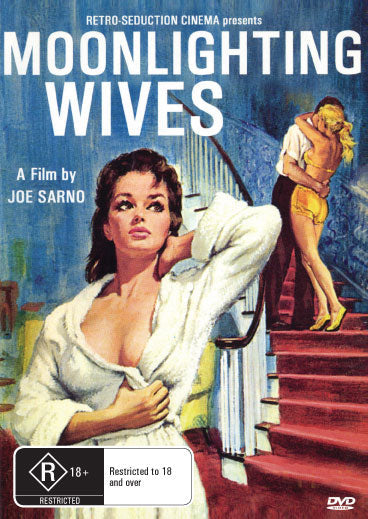 DVD of Moonlighting Wives drama featuring Tammy Latour and Gretchen Rudolph, from rareandcollectibledvds.